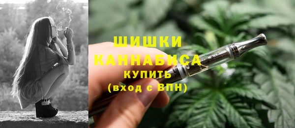 ECSTASY Богородицк