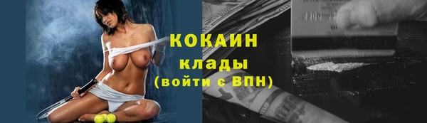 ECSTASY Богородицк