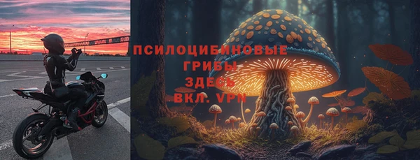 ECSTASY Богородицк