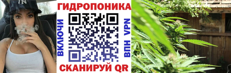 Канабис конопля Сосенский
